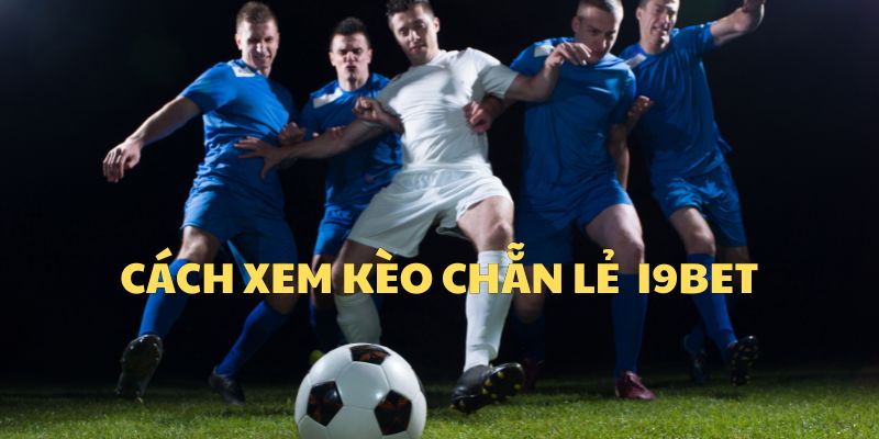 Hướng Dẫn Xem Loại Cược Chẵn Lẻ Tại I9Bet Chính Xác Nhất